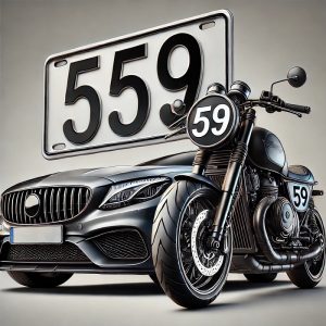 y-nghia-so-58-trong-duoi-bien-so-xe-phong-thuy-than-so-hoc