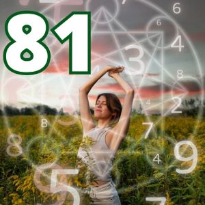 y-nghia-so-81-trong-than-so-hoc-va-trong-cuoc-song
