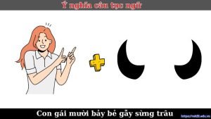 7+ Ý nghĩa câu tục ngữ “Con gái mười bảy bẻ gẫy sừng trâu”