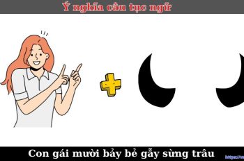 7+ Ý nghĩa câu tục ngữ “Con gái mười bảy bẻ gẫy sừng trâu”