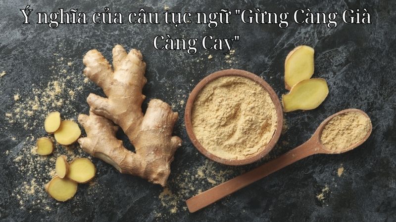 Ý nghĩa của câu tục ngữ "Gừng Càng Già Càng Cay"