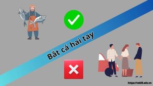 Bắt cá hai tay là gì? Giải đáp ý nghĩa của câu tục ngữ này
