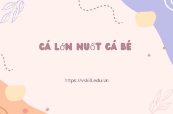 Giải thích câu thành ngữ “Cá lớn nuốt cá bé” hay nhất