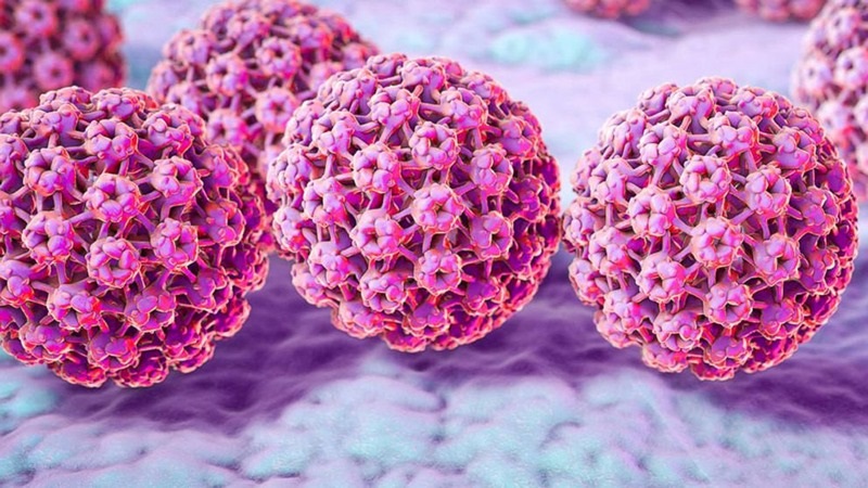 Các chủng virus HPV phổ biến hiện nay