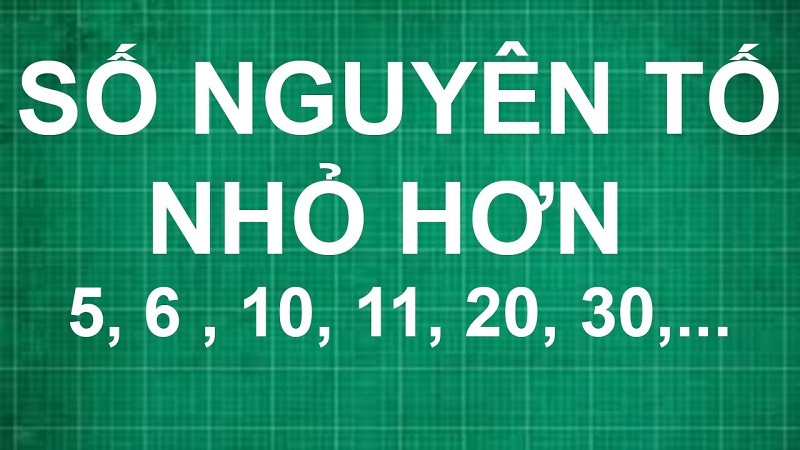 Các thuật ngữ gắn liền với số nguyên tố là gì?