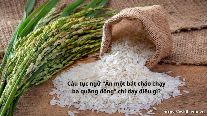 Câu tục ngữ “Ăn một bát cháo chạy ba quãng đồng” chỉ dạy điều gì?