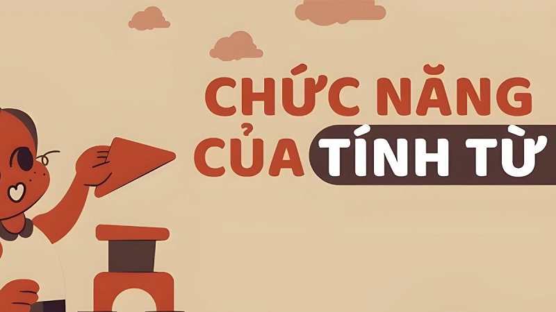 Chức năng của tính từ là gì