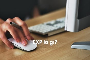 Exp là gì? Những thông tin cần biết EXP trên hàng hóa là gì