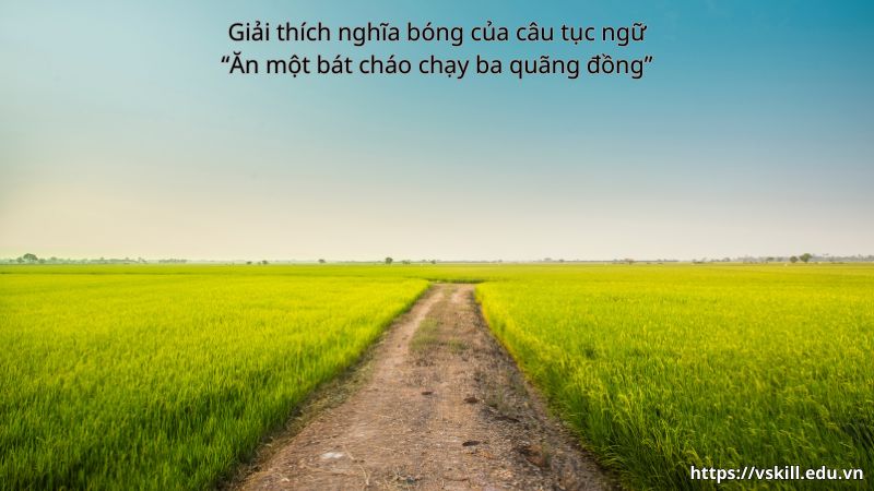 Giải thích nghĩa bóng của câu tục ngữ “Ăn một bát cháo chạy ba quãng đồng”