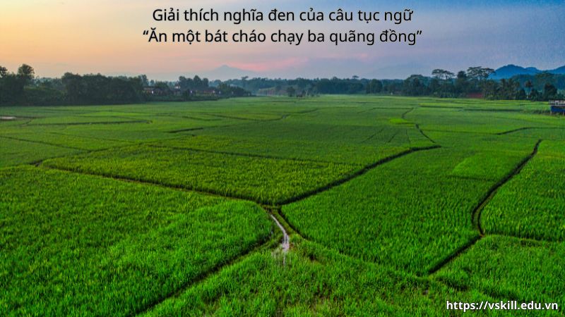 Giải thích nghĩa đen của câu tục ngữ “Ăn một bát cháo chạy ba quãng đồng”