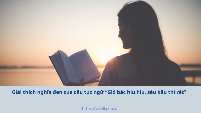 Giải thích nghĩa đen của câu tục ngữ “Gió bấc hiu hiu, sếu kêu thì rét”