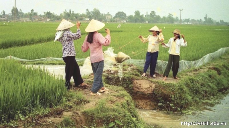 Giải thích nghĩa đen và nghĩa bóng của câu ca dao “Nhớ ai dãi nắng dầm sương - Nhớ ai tát nước bên đường hôm nao”