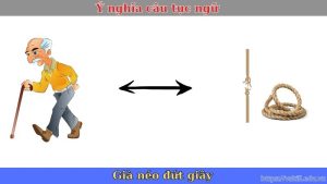 Giải thích ý nghĩa câu tục ngữ “Già néo đứt giây” siêu hay