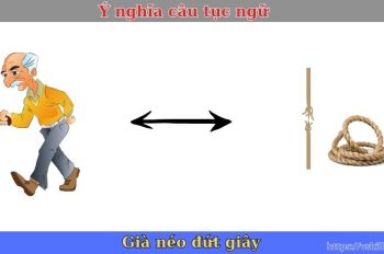 Giải thích ý nghĩa câu tục ngữ “Già néo đứt giây” siêu hay