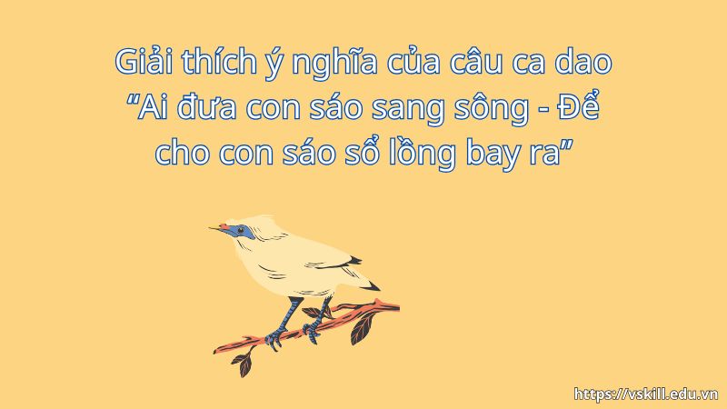 Giải thích ý nghĩa của câu ca dao “Ai đưa con sáo sang sông - Để cho con sáo sổ lồng bay ra”