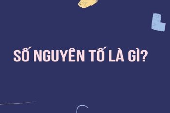 Số nguyên tố là gì? Tìm hiểu số nguyên tố chi tiết nhất