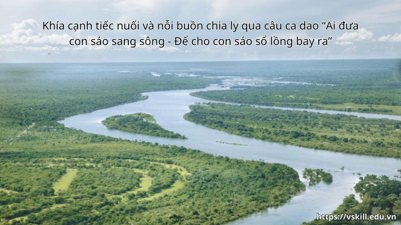 Khía cạnh tiếc nuối và nỗi buồn chia ly qua câu ca dao “Ai đưa con sáo sang sông - Để cho con sáo sổ lồng bay ra”