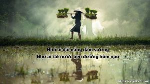 5+ ý nghĩa "Nhớ ai dãi nắng dầm sương - Nhớ ai tát nước bên đường hôm nao"