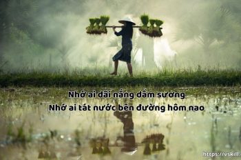 5+ ý nghĩa “Nhớ ai dãi nắng dầm sương – Nhớ ai tát nước bên đường hôm nao”