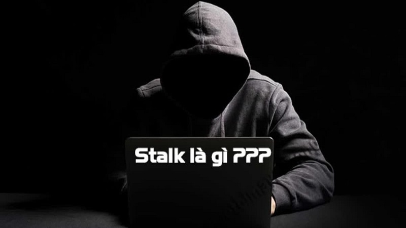 Tìm hiểu Stalk là gì?