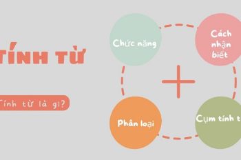 Tính từ là gì? Vị trí, cách phân loại và sử dụng tính từ như thế nào?