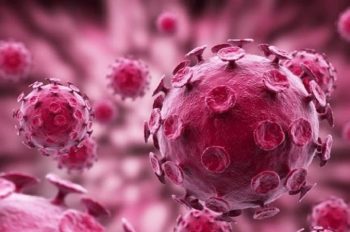 HPV là gì? Các biện pháp phòng ngừa virus HPV hiện nay