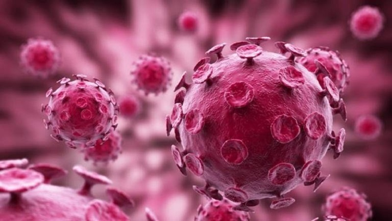 Tìm hiểu Virus HPV là gì?