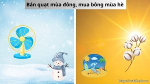 Ý nghĩa câu tục ngữ “Bán quạt mùa đông, mua bông mùa hè” cực hay