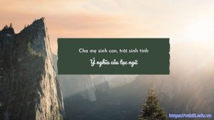 Ý nghĩa câu tục ngữ Cha mẹ sinh con, trời sinh tính chi tiết