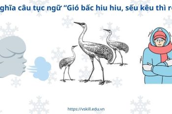 Ý nghĩa câu tục ngữ “Gió bấc hiu hiu, sếu kêu thì rét”