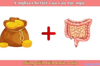 Ý nghĩa chi tiết của câu tục ngữ “Đồng tiền liền khúc ruột”