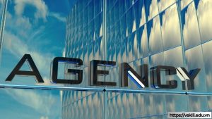 Agency là gì? Toàn cảnh về vai trò, cơ hội và tương lai ngành Agency