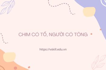 Giải thích tục ngữ “Chim có tổ, người có tông” chi tiết