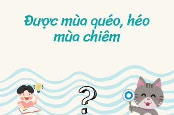 23+ Mẫu phân tích câu tục ngữ Được mùa quéo, héo mùa chiêm