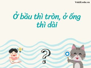 Ở bầu thì tròn, ở ống thì dài