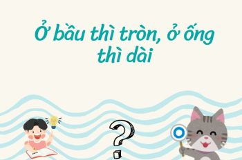 Ý nghĩa câu tục ngữ Việt Nam Ở bầu thì tròn, ở ống thì dài 