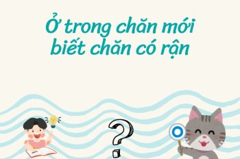 20+ Ý nghĩa của câu tục ngữ Ở trong chăn mới biết chăn có rận