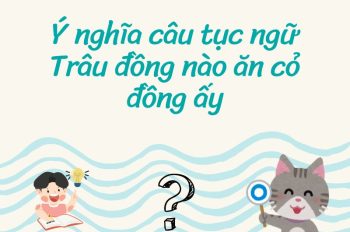 Ý nghĩa câu tục ngữ Trâu đồng nào ăn cỏ đồng ấy