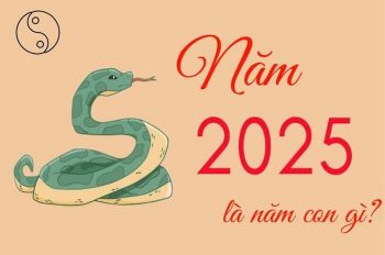 Năm 2025 là năm con gì? Mệnh gì? Hợp với bố mẹ tuổi nào nhất?