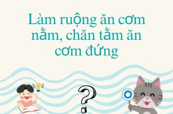 Làm ruộng ăn cơm nằm, chăn tằm ăn cơm đứng nghĩa câu tục ngữ