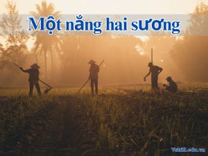 Một nắng hai sương