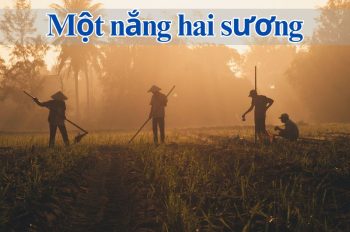 20+ Giải đáp ý nghĩa câu tục ngữ Một nắng hai sương hay nhất