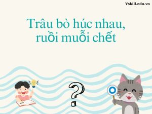 Ý nghĩa câu thành ngữ - Trâu bò húc nhau, ruồi muỗi chết