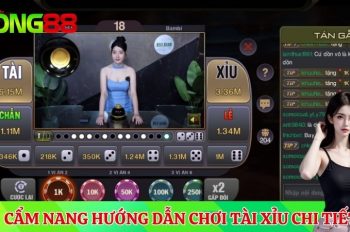 Cẩm nang hướng dẫn chơi tài xỉu chi tiết cho dân mới toanh